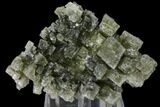 3.35" Skeletal Halite Crystals with Tolbachite - Poland - #130485-3